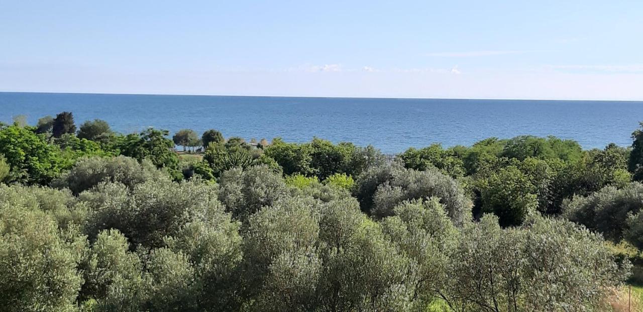 Apartment Istria Zambratija (Istria) Exterior foto